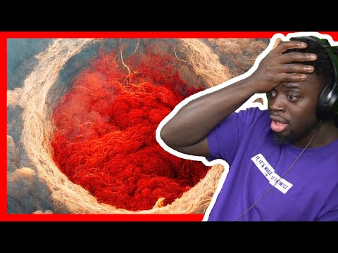 Ollane feat. TumaniYO - Hot Circle (Official Audio) REACTION