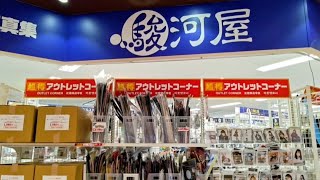 ブラショ】駿河屋とトレファク店舗でお買い物！掘り出し物探し #リサイクルショップ巡り 