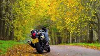 Suzuki GSX1300R Hayabusa Motorcycle Review Road Test GT Motorcycles