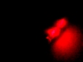 100 1601 Mov