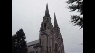 preview picture of video 'Bourg en Bresse : cloches de la Basilique du Sacré Coeur'