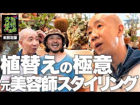 【劇的変貌】ひょうろく植替えの極意レクチャー完全版🌱@芽の巣山(東京都)【ほぼノーカット!未剪定版✂️】/変態植物倶楽部 #ひょうろく #珍奇植物 #観葉植物 #植え替え