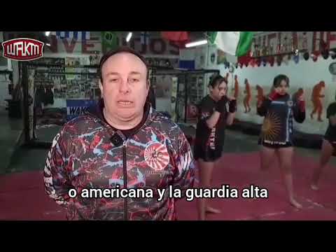 KAMAE TIPOS DE GUARDIA 