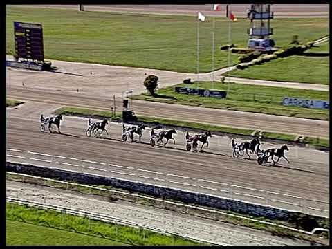 Trotto 18/06/2020 - 2ª prova di qualifica