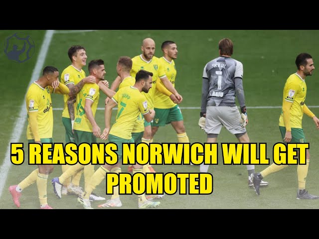 Videouttalande av Norwich city Engelska
