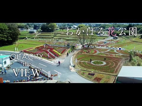 【OITA CITY - the VIEW -】おかばる花公園