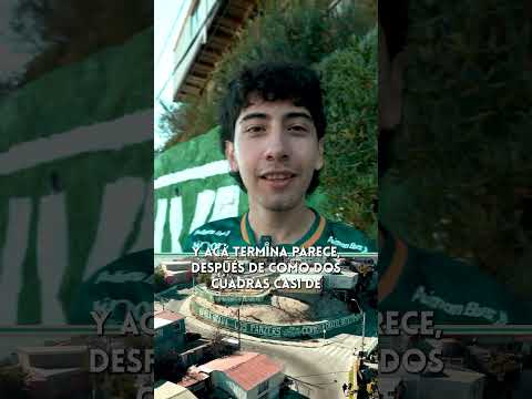 MURAL DE SANTIAGO WANDERERS EN CERRO LA CRUZ