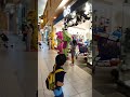 Barney And Friends At Ibn Battuta Mall Dubai
