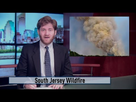 NJ South Jersey Wharton State Forest Wildfire
