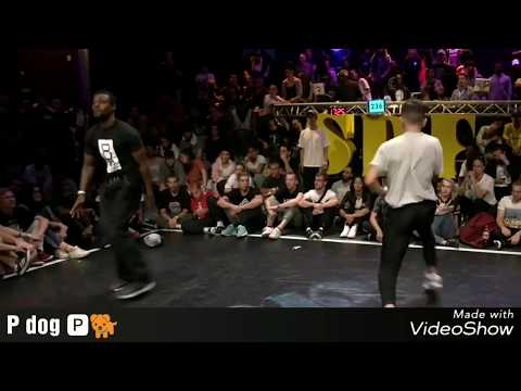 P dog Summer Dance Forever 2017 Preselection