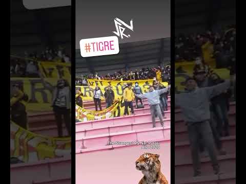 "MOMENTOS COMO BARRA BRAVA 13 | #SrJohn34" Barra: La Gloriosa Ultra Sur 34 &bull; Club: The Strongest