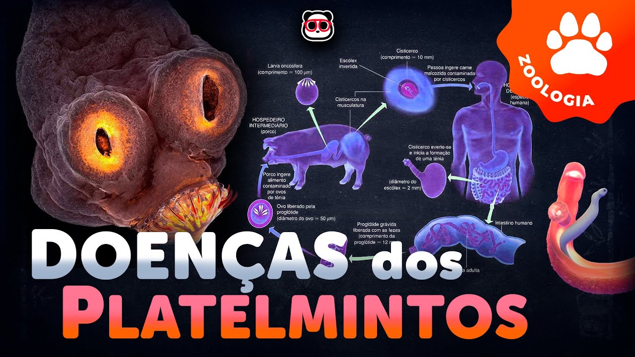 Doenças dos Platelmintos