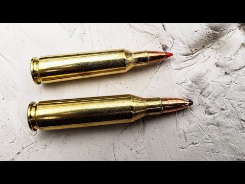 22-250 vs 243 - Giant Clay Blocks