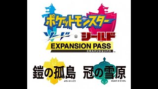 [ポケモン剣盾]いくぜ！冠の雪原！！[ネタバレ超注意]