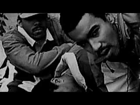 Tha Alkaholiks (feat. Diamond D) - The Next Level (HDZ Remix)