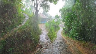 Rawan Longsor Tapi Tak Di Sangka Seenak Ini Hujan Deras di Kung Indah Jawa Barat Garut Mp4 3GP & Mp3