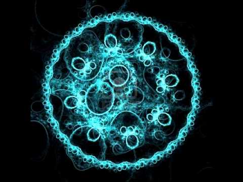 Cellular Structure - Solar Axis