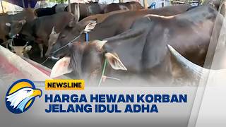 Download lagu Jelang Idul Adha, Harga Hewan Kurban Mulai Mengalami Kenaikan mp3