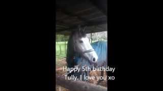 Happy fifth birthday Tully!{SomethingBeautiful}