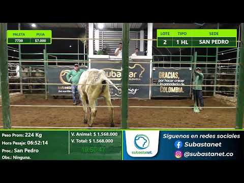 Subasta Virtual - Presencial San Pedro (E35) 26/08/2026