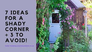 Do you have a 'difficult' shady garden corner? 7 best ideas  plus 3 things to avoid.