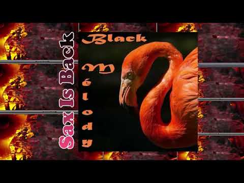 Rev. Cleatus & Soul Saviours - Paper Cut + Tynnes Well & Magic Fountains - Stop The Madness