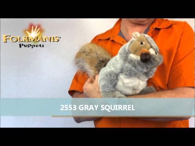 Video teaser voor 2553 Folkmanis Grey Squirrel