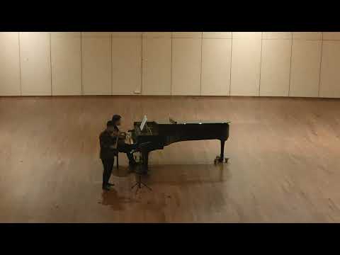Irsyad Arif Custom Violin 2023 image 7