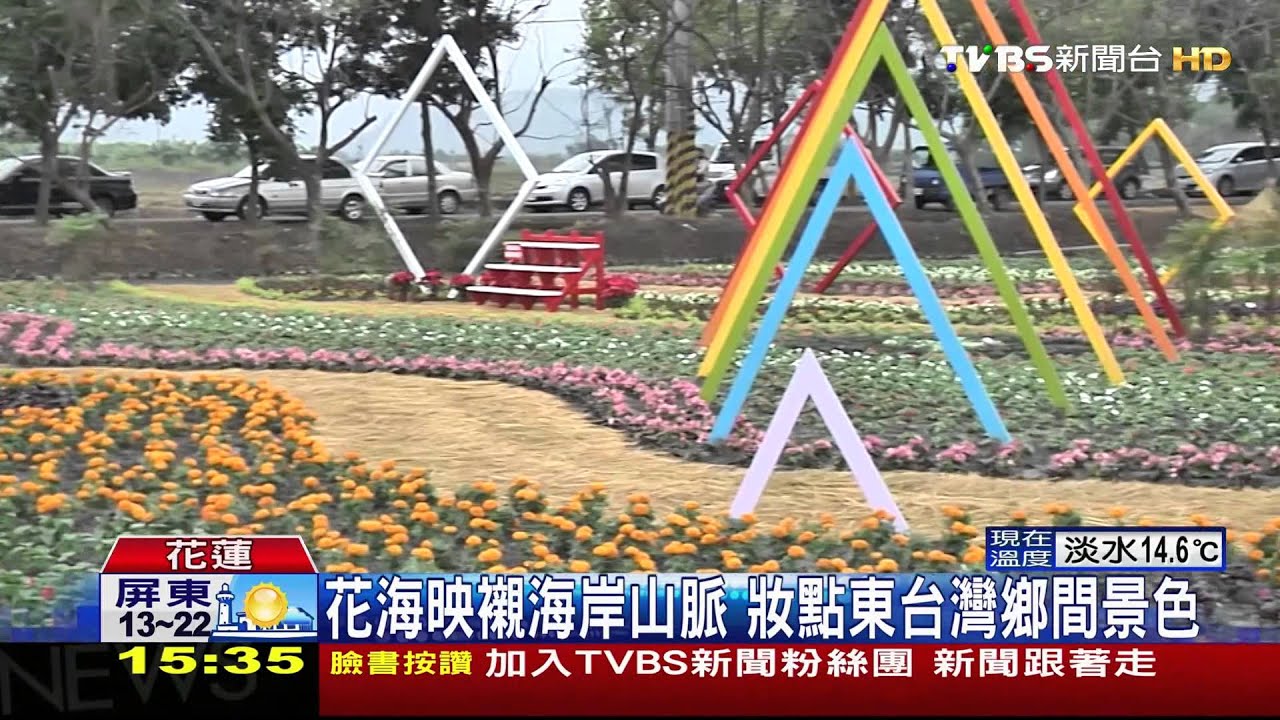 波斯菊、梅花、山茶　冬日花海接力登場