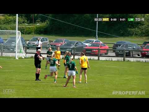 Antrim v Limerick - TG4 All-Ireland Junior Championship - Round 3