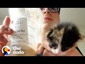 Couple Finds A Tiny Calico Kitten Outside of Starbucks | The Dodo