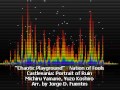 Chaotic Playground - Nation of Fools - Castlevania: Portrait of Ruin