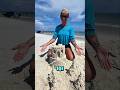 Castle 101 #diy #tutorial #asmr #satisfying #oddlysatisfying #sandcastle #sand #sandsculpture