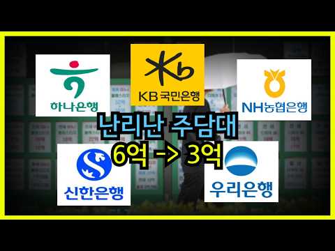 아파트 대출 3억제한 & 제한이 생긴 이유