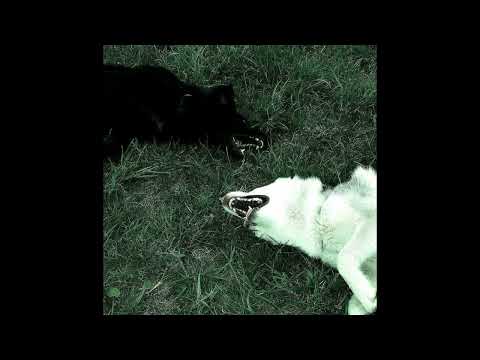 [Free] Deftones x Shoegaze x Alternative rock Type Beat "immortality"