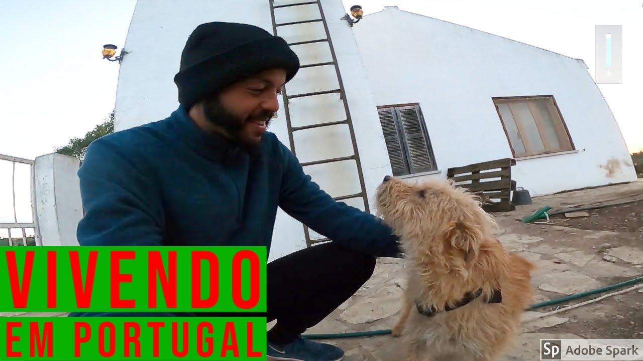 FAZENDA autossustentável em PORTUGAL - Permacultura - Sustentabilidade - VOLUNTARIADO