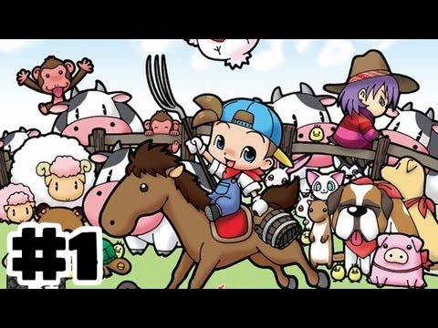 harvest moon magical melody wii code