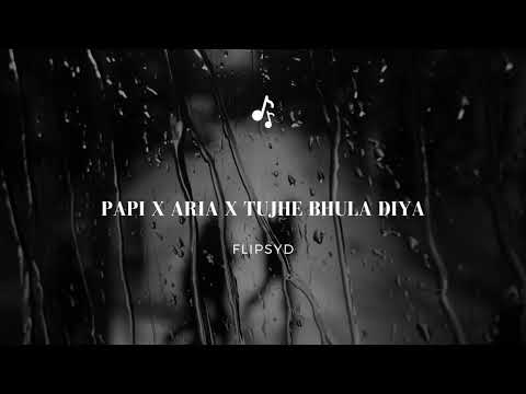 Papi x Aria x Tujhe Bhula Diya // Flipsyd