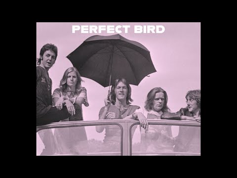 Le Wings - Perfect Bird (LE SSERAFIM x Paul McCartney and Wings)