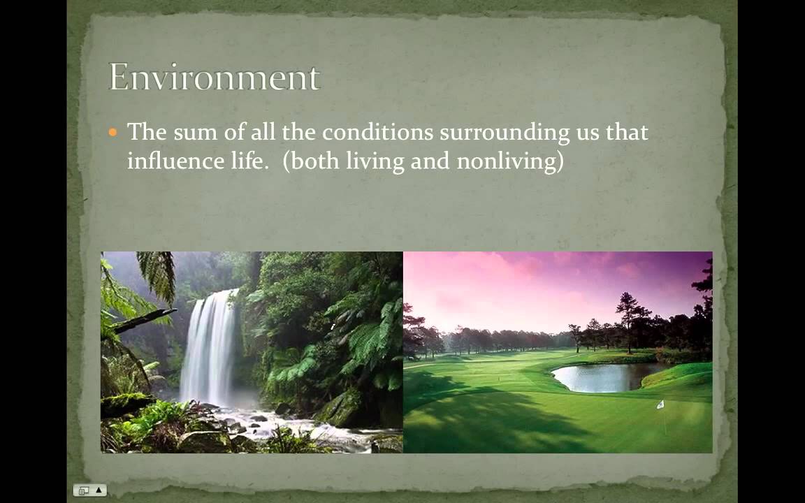 APES Chapter 1 Part 1