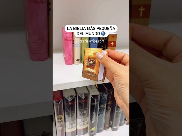 Vídeo relacionado con Amazon Basics Set de subrayadores pastel, tinta antitraspaso, para biblias, punta biselada, Paquete de 10, Surtido