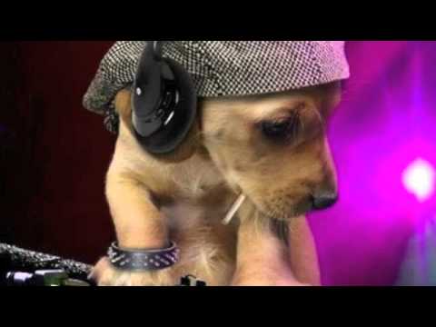 Carl Tricks - 8090 (Original Mix)