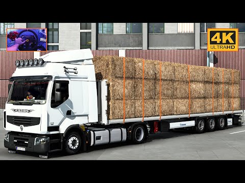 Renault Premium 460 in Promods | Southampton - Lille | ETS2 Gameplay 4K + wheel cam