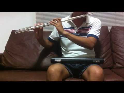 Flauta Yamaha 481 II à venda no Mercado Livre.