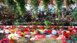 詩篇第23　23rd Psalm