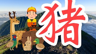 猪が最強の世界、シタデル実況プレイ⑥！