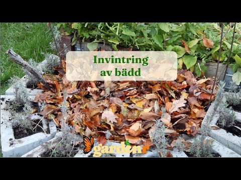Bed wintering - Gardenhacks by GardenR