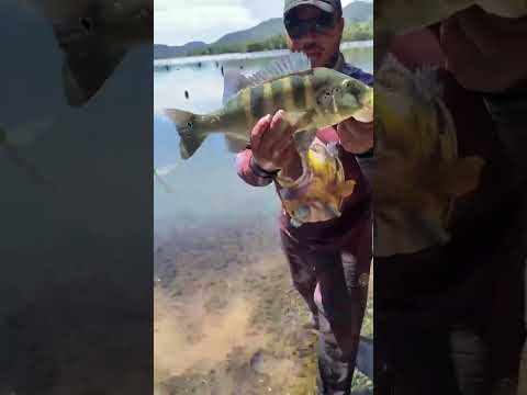 pescaria no lago de cana brava em Minaçu go
