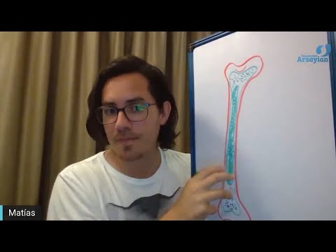 Day 299 SKELETAL SYSTEM - Matias De Stefano - English Edit