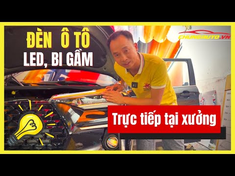 Đèn Bi Led Ô Tô Aozoom Wolf Light
